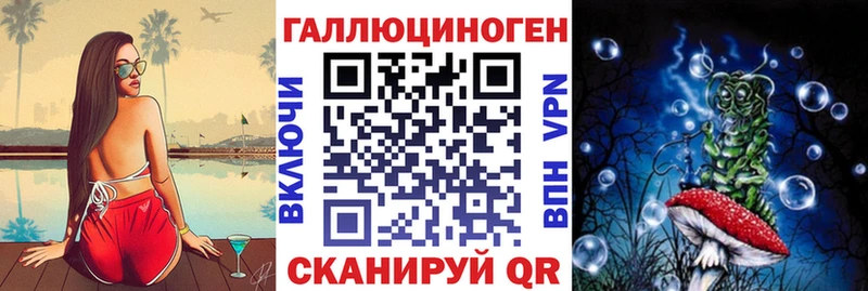 Галлюциногенные грибы Psilocybine cubensis Бабаево